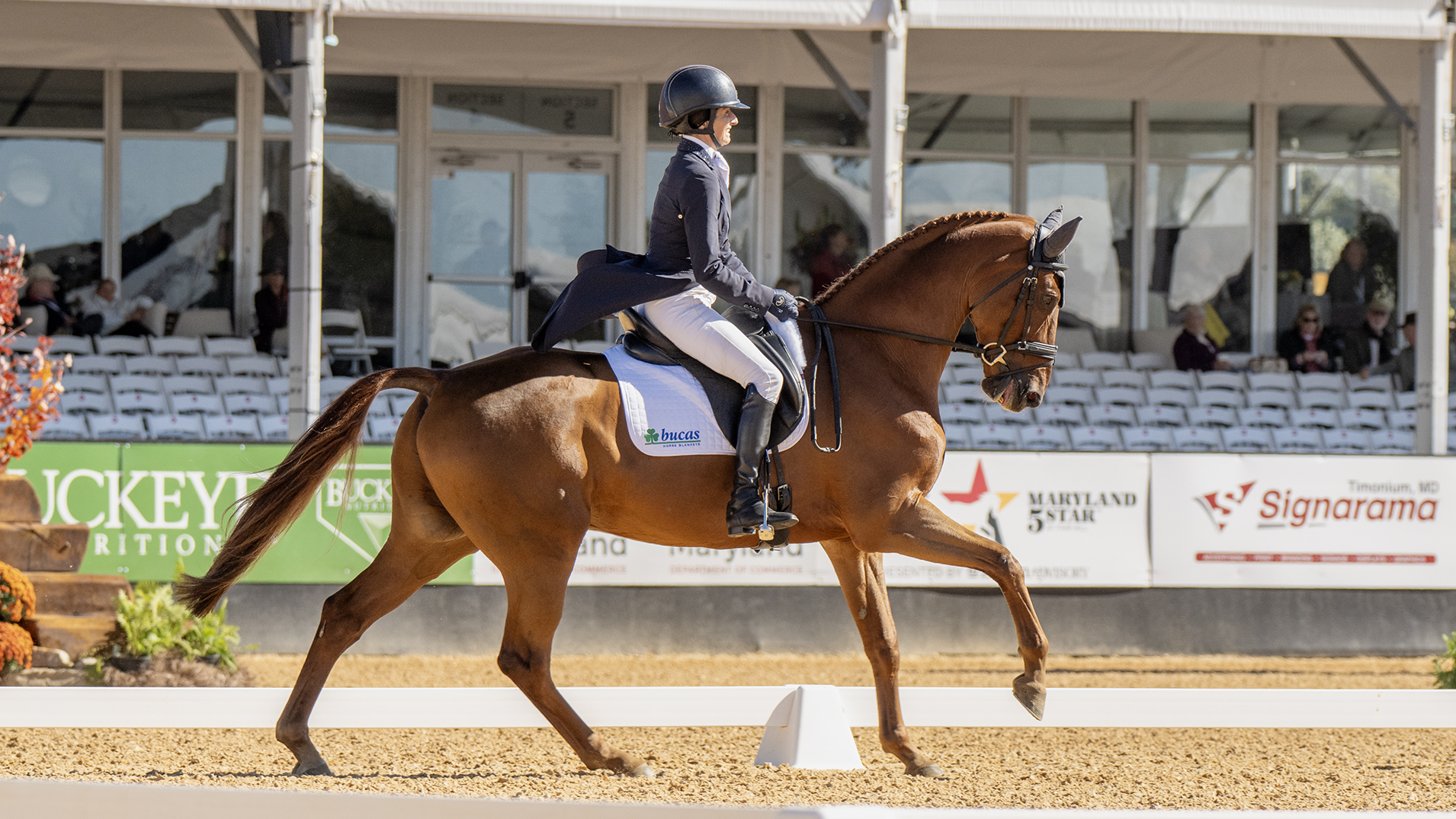 Dressage 5 étoiles du Maryland : Jennie Brannigan et FE Lifestyle