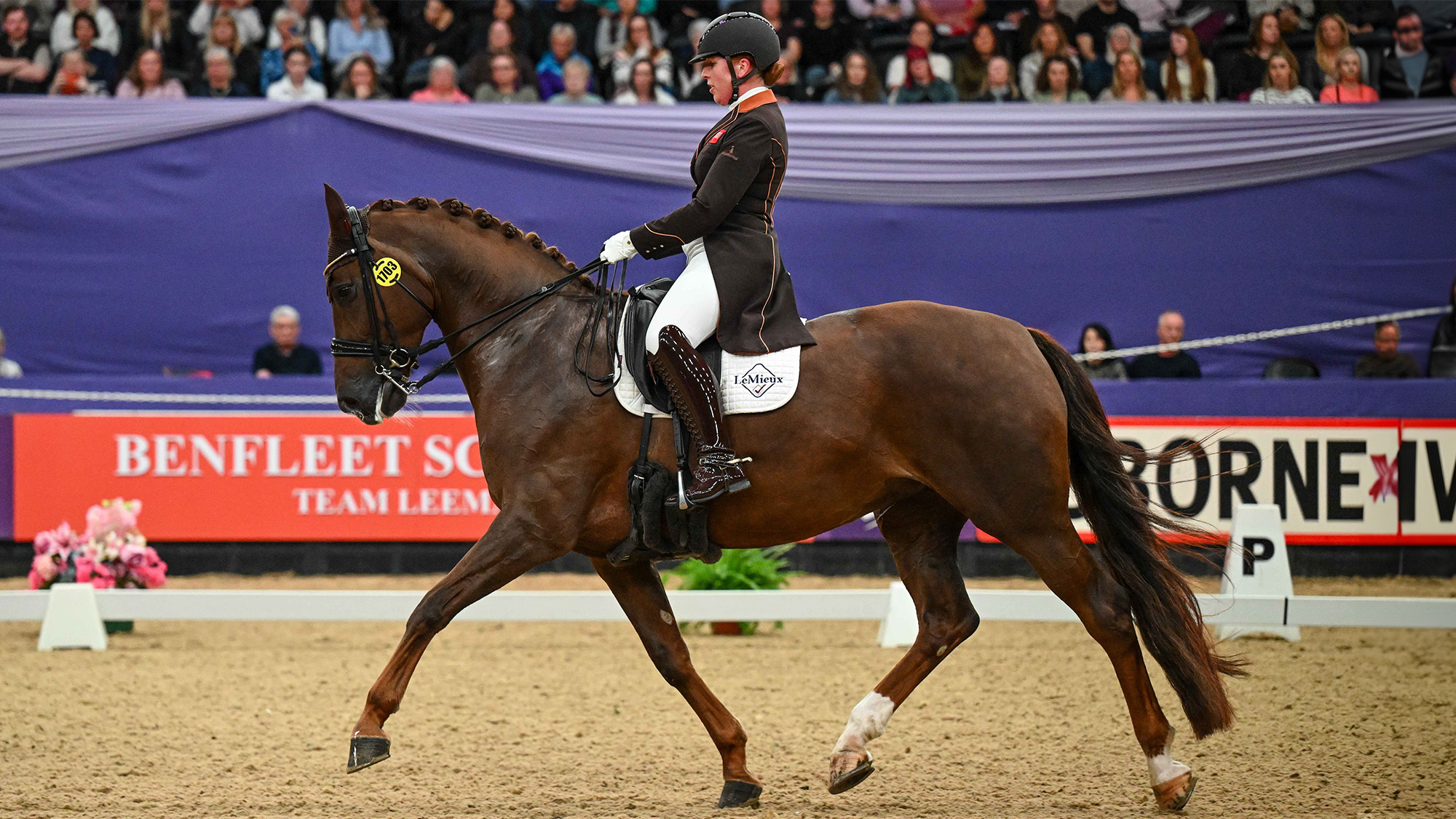 Becky Moody remporte le troisième titre Future Elite à HOYS avec la dernière star