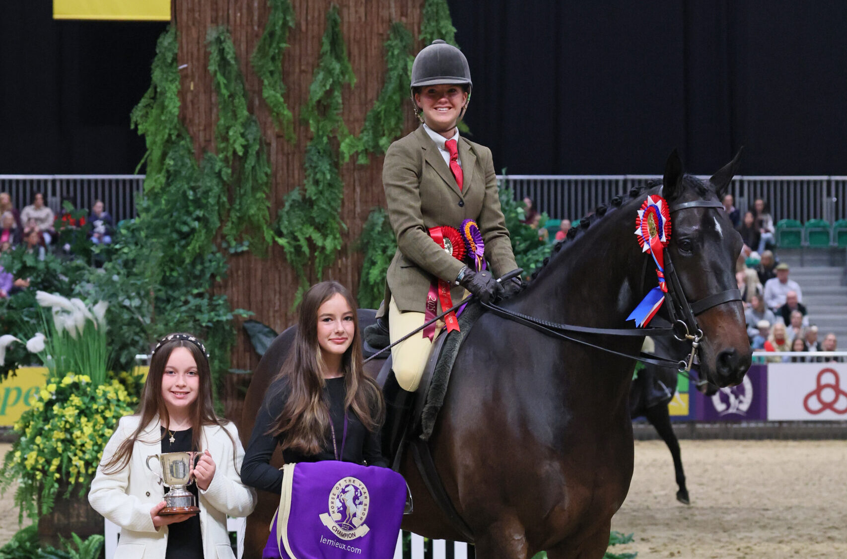 Couronne de chasseur de l'année intermédiaire HOYS pour hongre polyvalent
