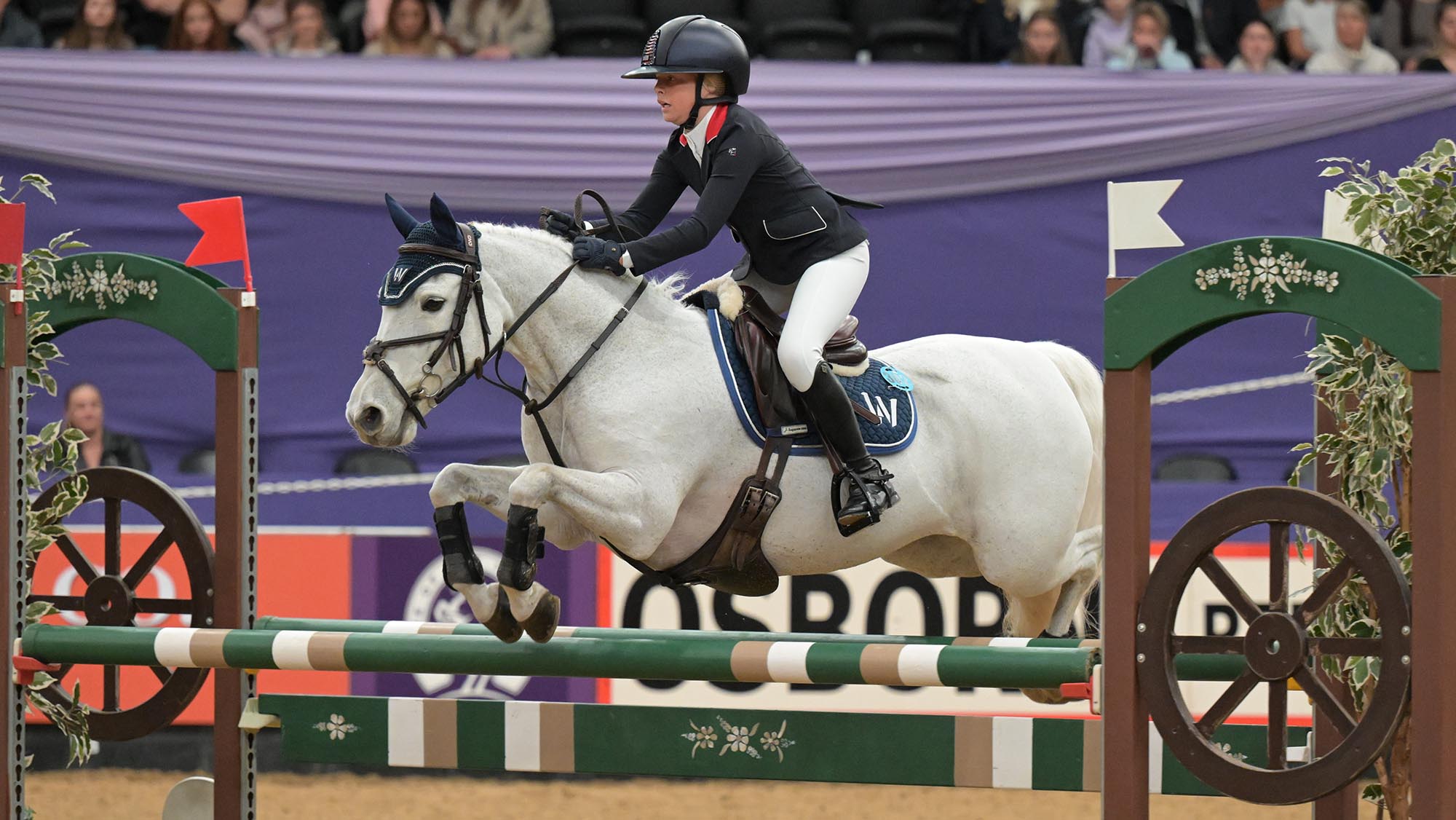Félicitations à la petite cavalière qui a fait passer son poney avant son rêve HOYS