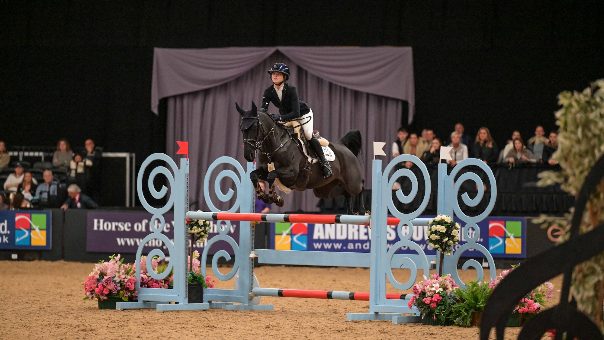 Hollie Gerken remporte l'incroyable septième titre HOYS