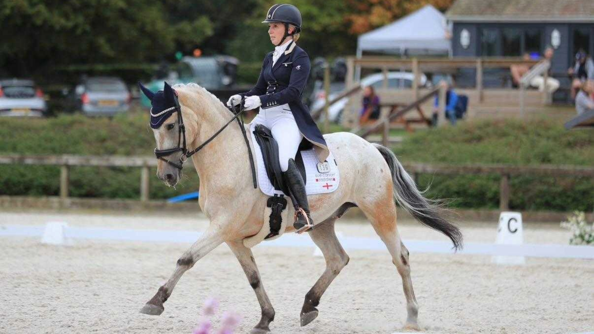 Le cheval de dressage tacheté qui a dansé de la préliminaire au grand prix
