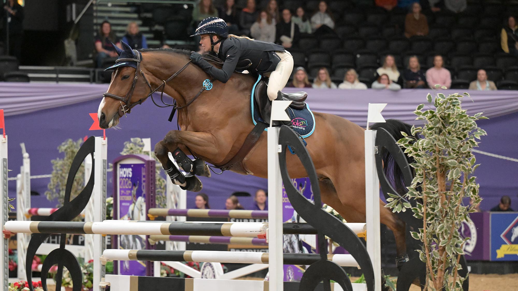 « Un peu de voyage » : un cavalier ayant subi deux opérations au cerveau excelle à HOYS – avec un cheval borgne qui était ravi d'être de retour