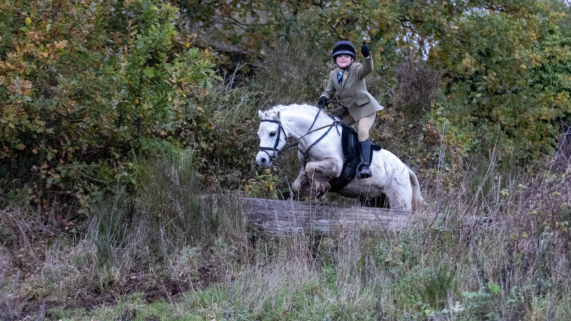 Un petit poney et son cavalier montrent aux adultes comment procéder