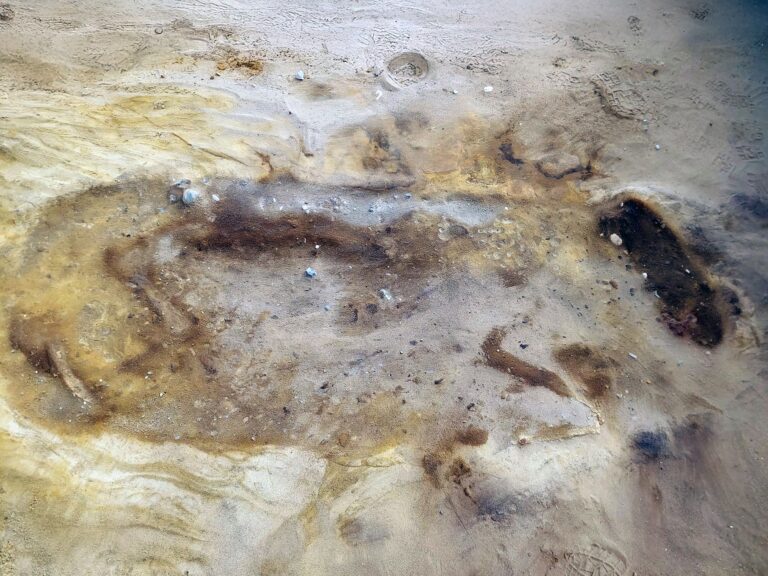 Une tombe de cheval anglo-saxonne découverte sur le site de Sizewell C