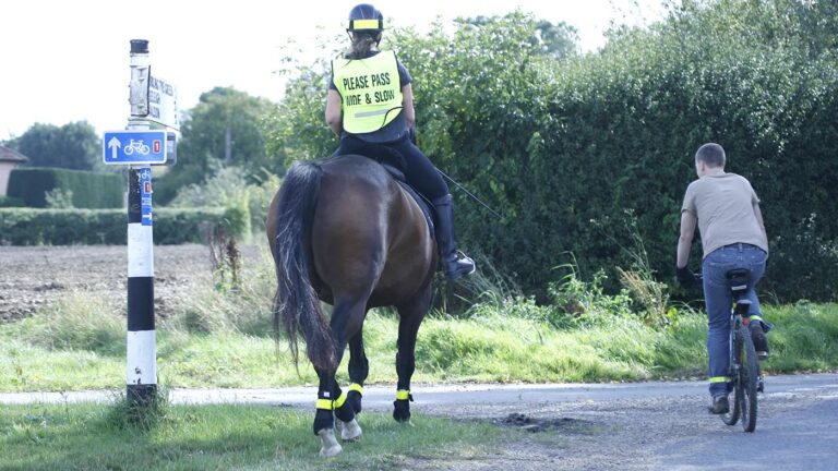 Inquiétudes car les chevaux et les cavaliers sont « largement négligés » dans la nouvelle stratégie nationale de sécurité routière
