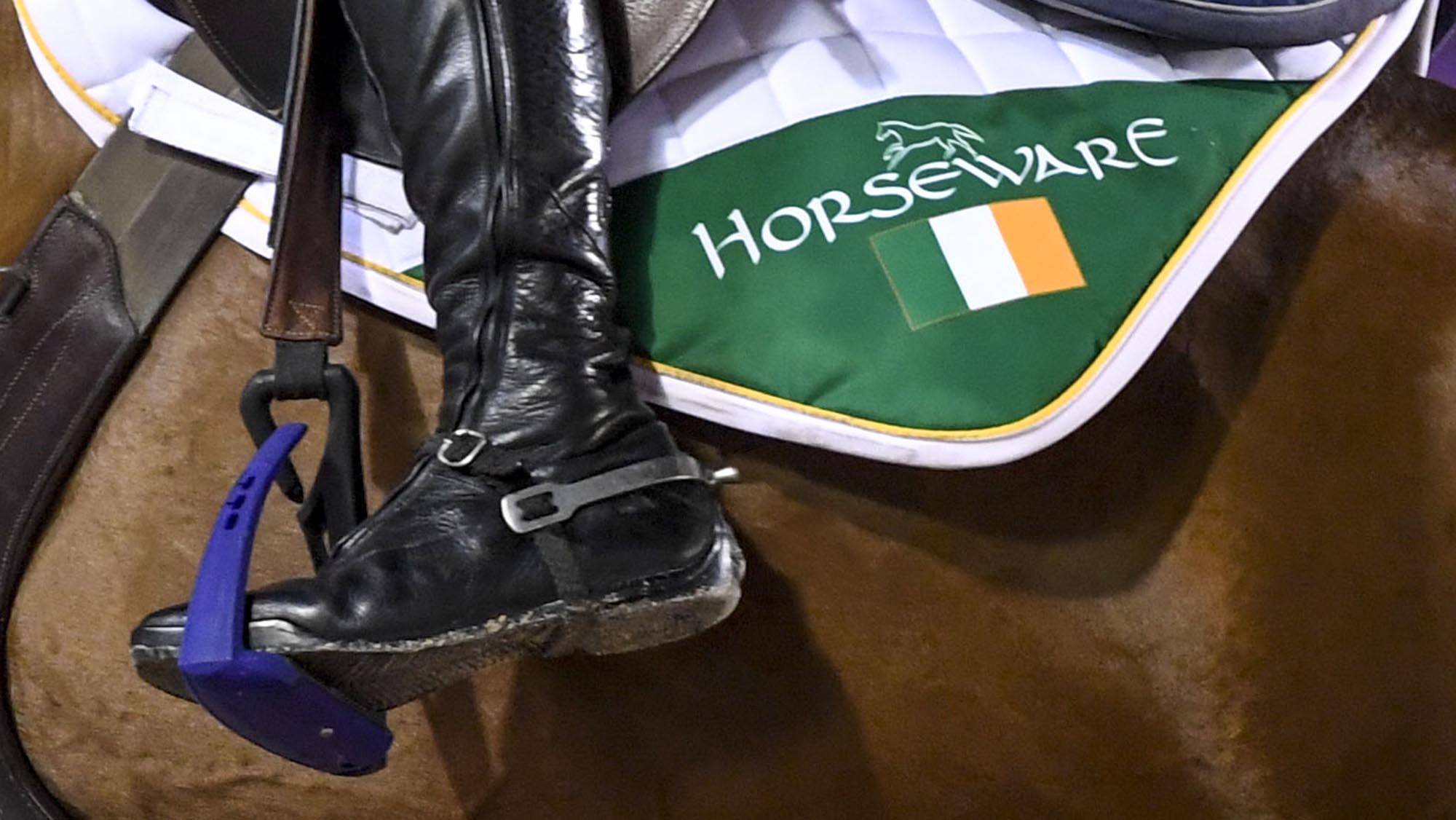 Le cavalier irlandais Thomas Ryan représentera la Suède