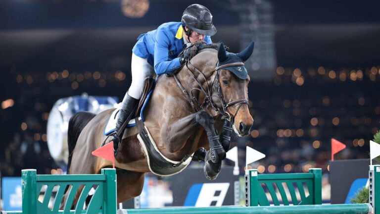 L&rsquo;étalon du Haras de Zangersheide D&rsquo;Aganix 2000 Z abattu suite à un accident