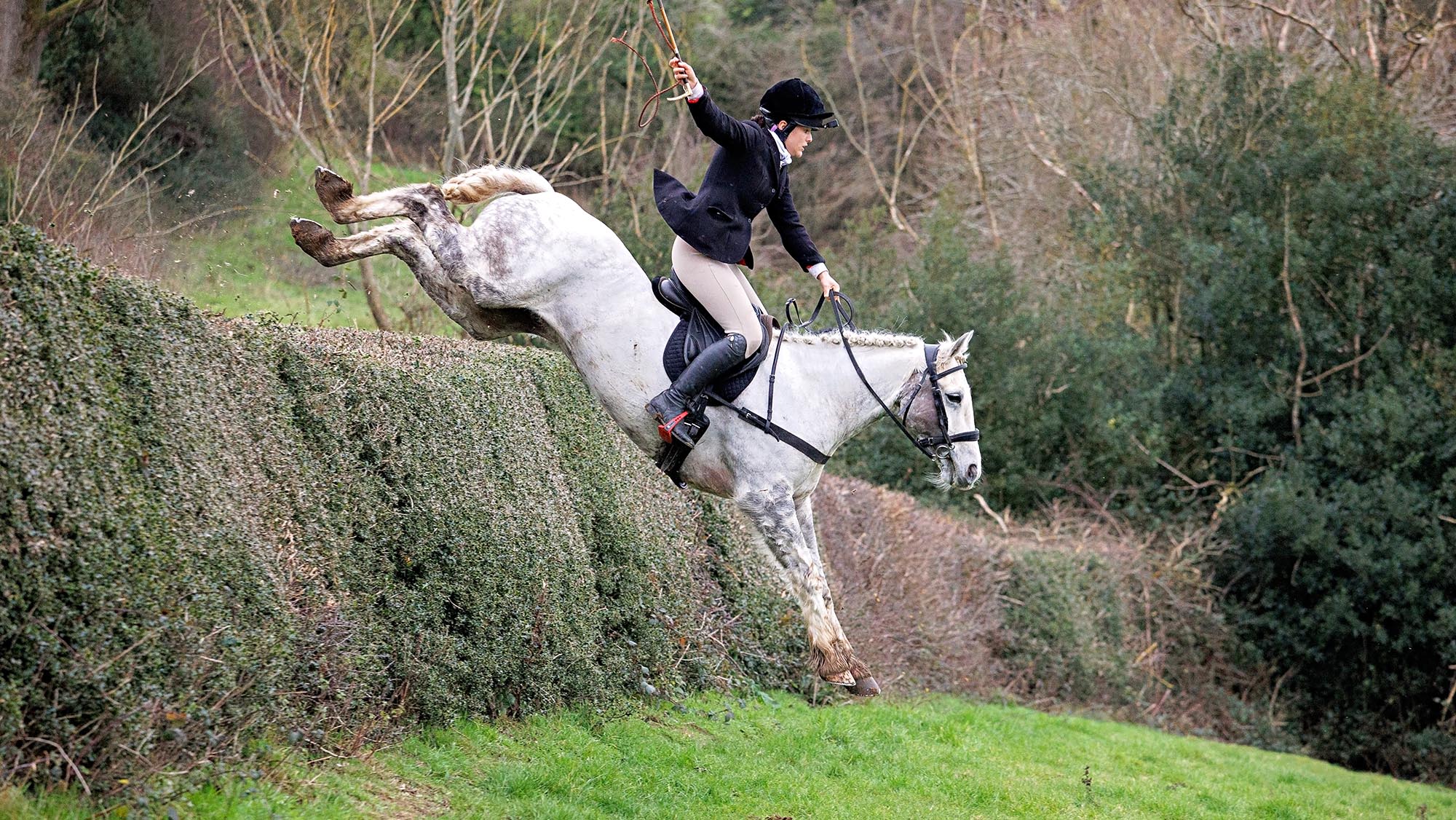 Un cheval jugé trop dangereux à monter transformé en star de la chasse en équipe