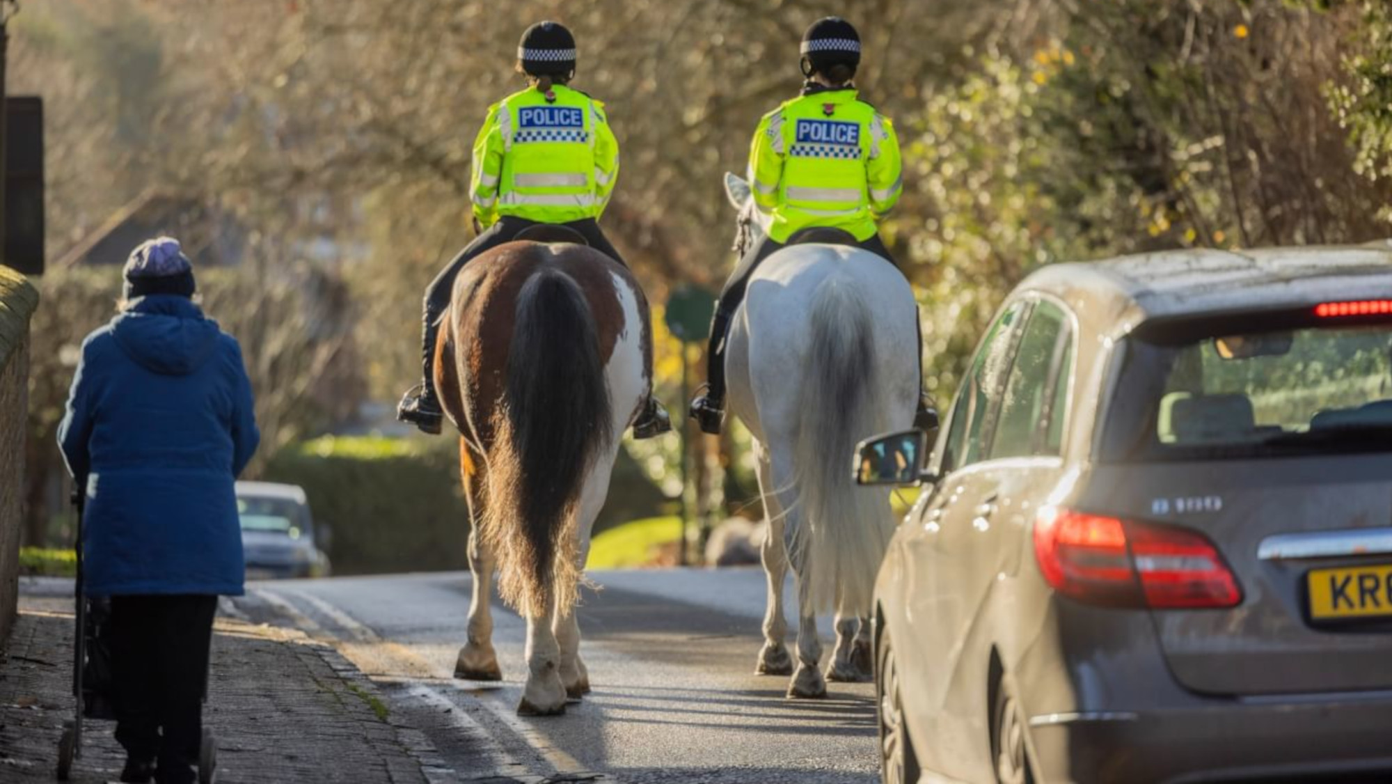 Les chevaux de la police aident à diffuser le message de sécurité routière auprès des conducteurs