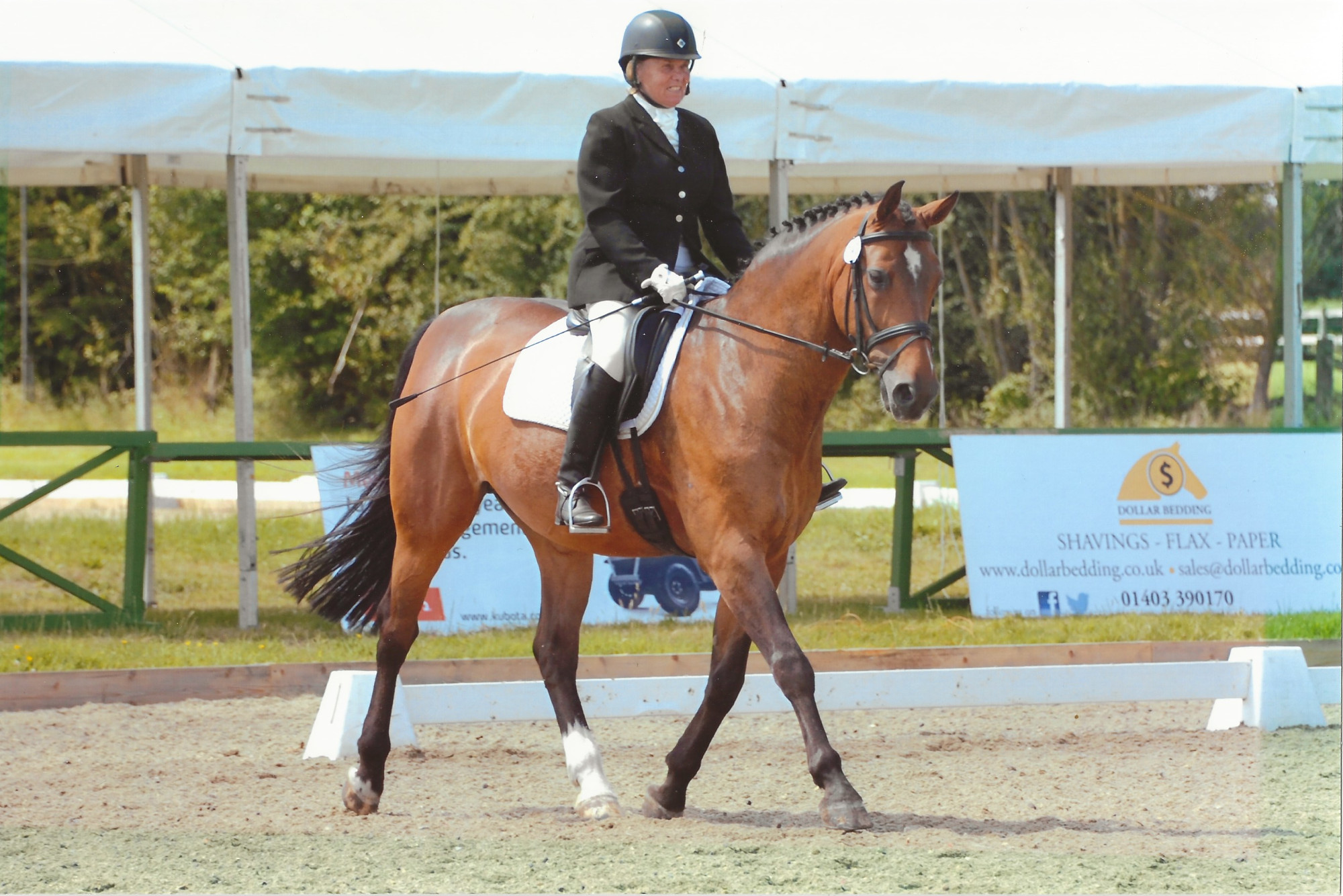 Adieu à la cavalière et entraîneuse équestre Carol Green