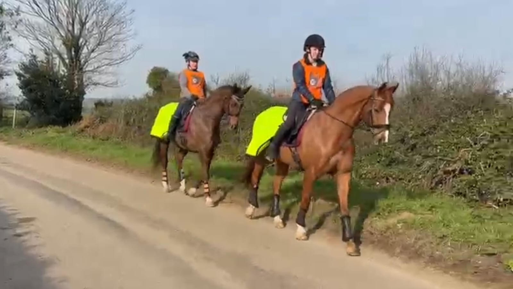 La formation poids lourds des cavaliers débouche sur la vidéo pour assurer la sécurité des chevaux
