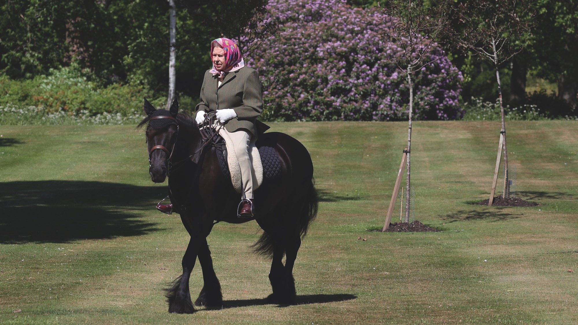 La reine Elizabeth II chevauche Balmoral Fern, un Fell Pony de 14 ans, à Windsor Home Park ce week-end. C'était en 2020, 6 ans avant le 100e anniversaire de la reine. 