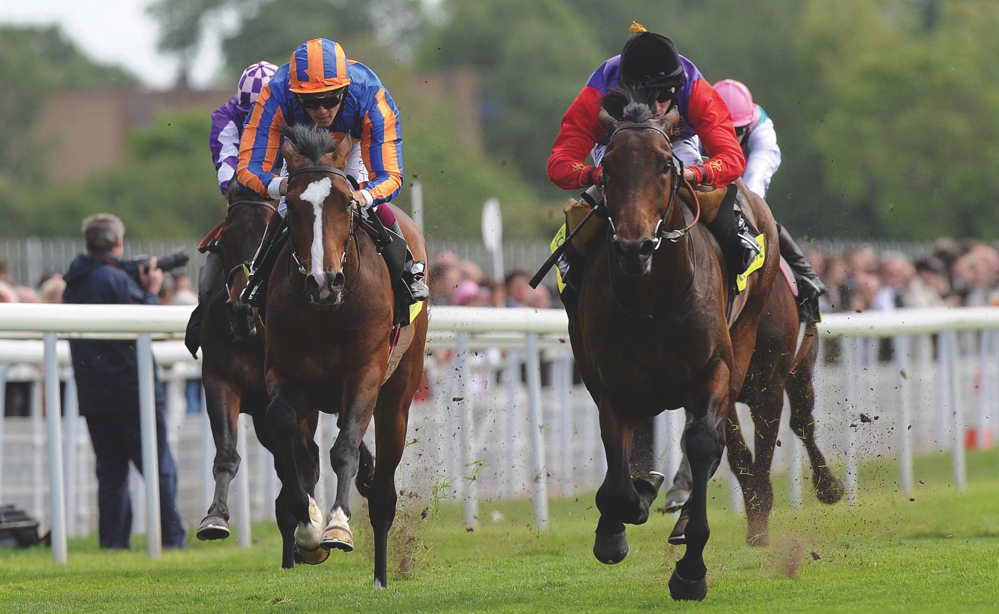 La maison Queen's Carlton (manches rouges) remporte les Dante Stakes en 2011