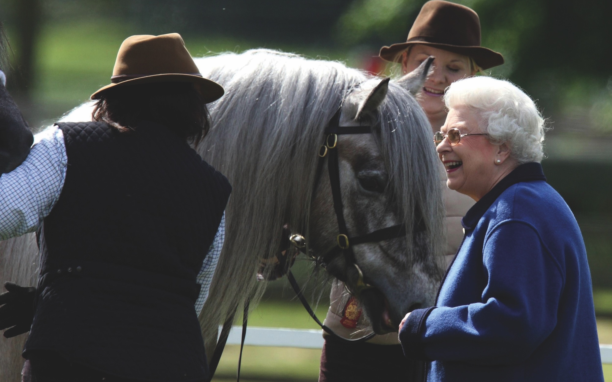 La reine Elizabeth II regarde les chevaux qu'elle possède en compétition dans les classes Highland au Royal Windsor Horse Show.
