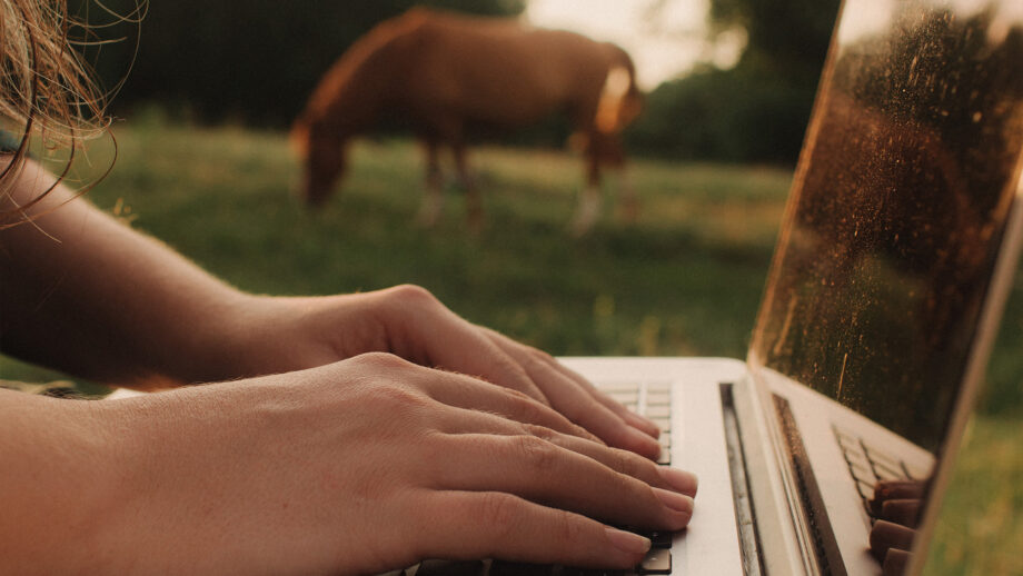 Un poste d'éditeur d'images Horse & Hound est ouvert aux candidatures