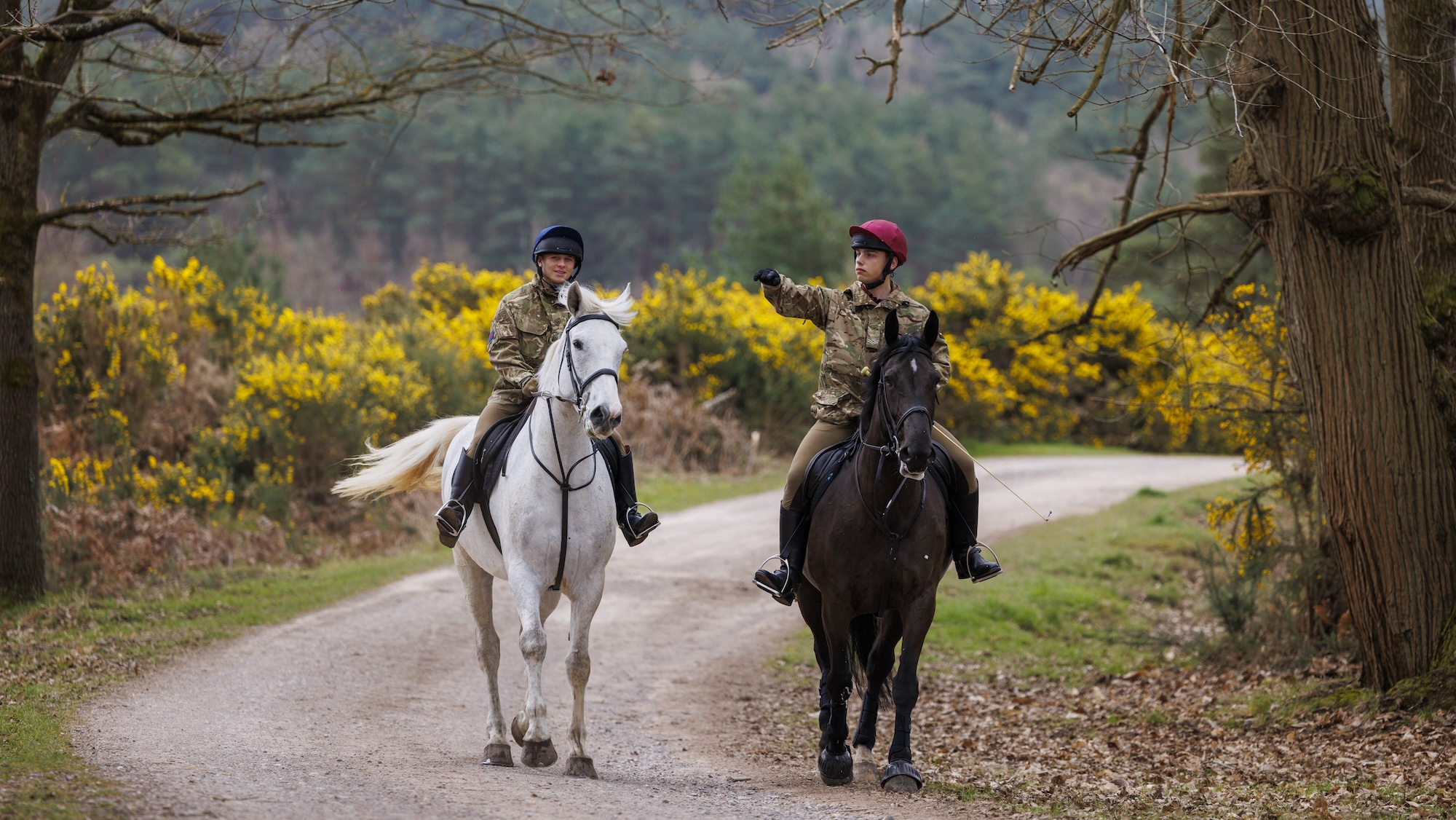 L'armée britannique s'exprime sur le fait de « ramener le cheval de guerre »