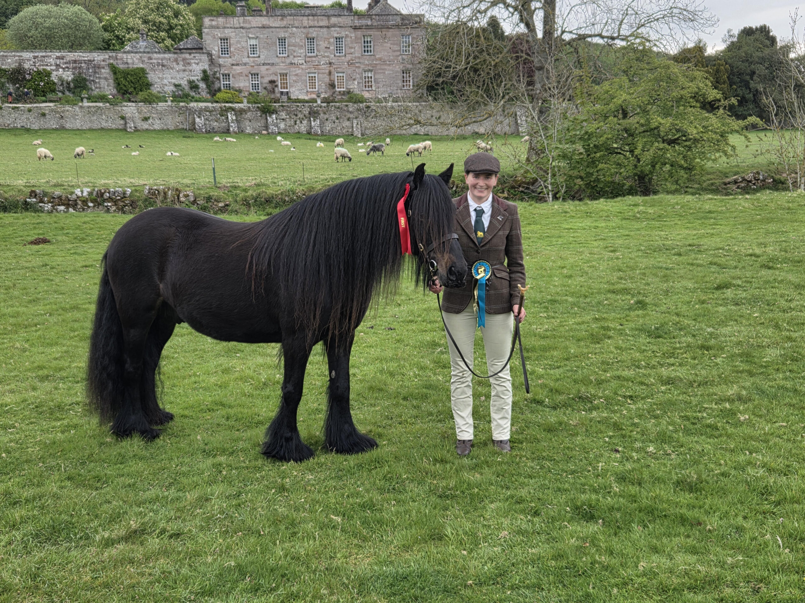 Stennerskeugh Nicholas et Bronte Crosby sont champions de geldiong au concours d'étalons et de poulains 2026 de la Fell Pony SOciety.