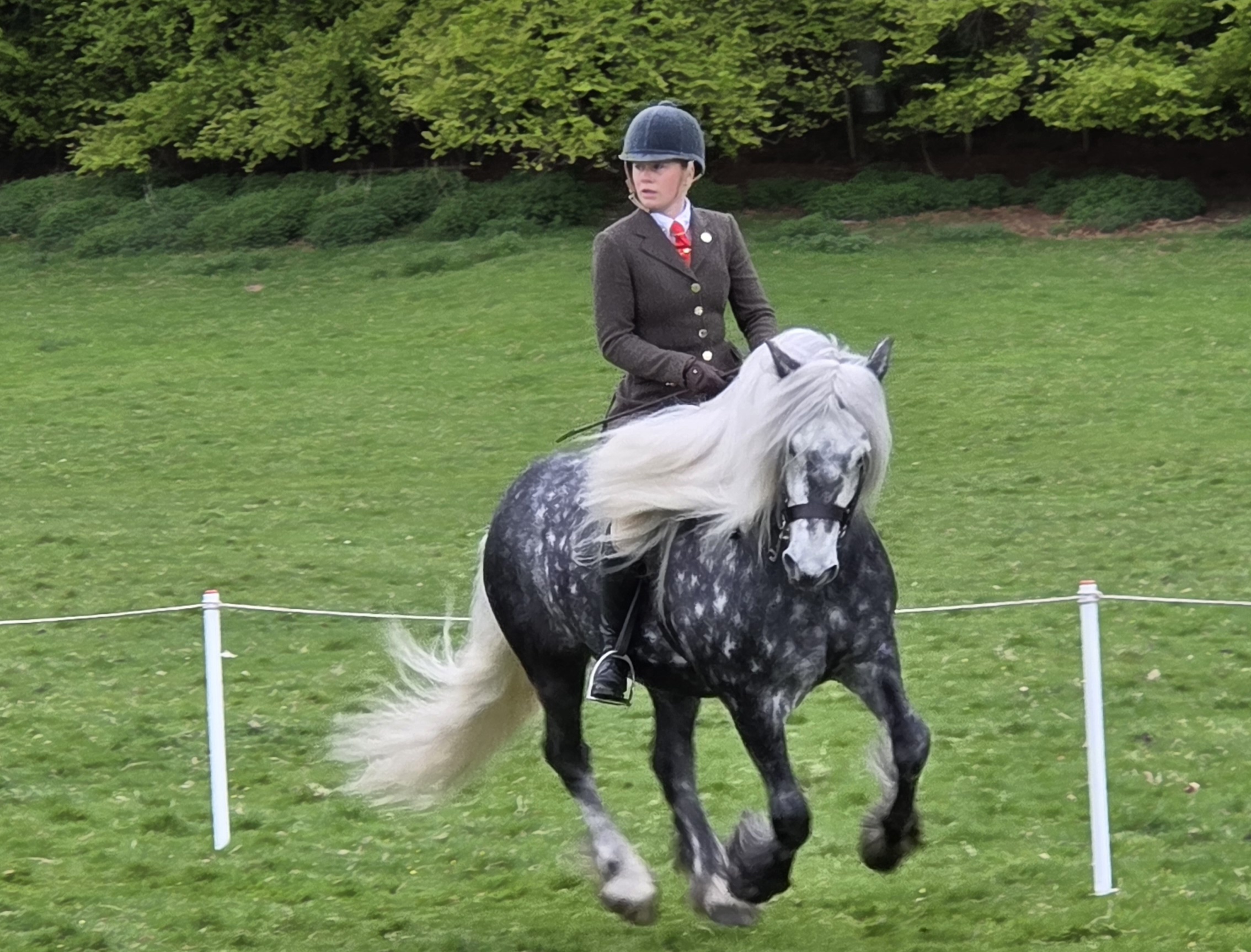 Prince de sonnerie