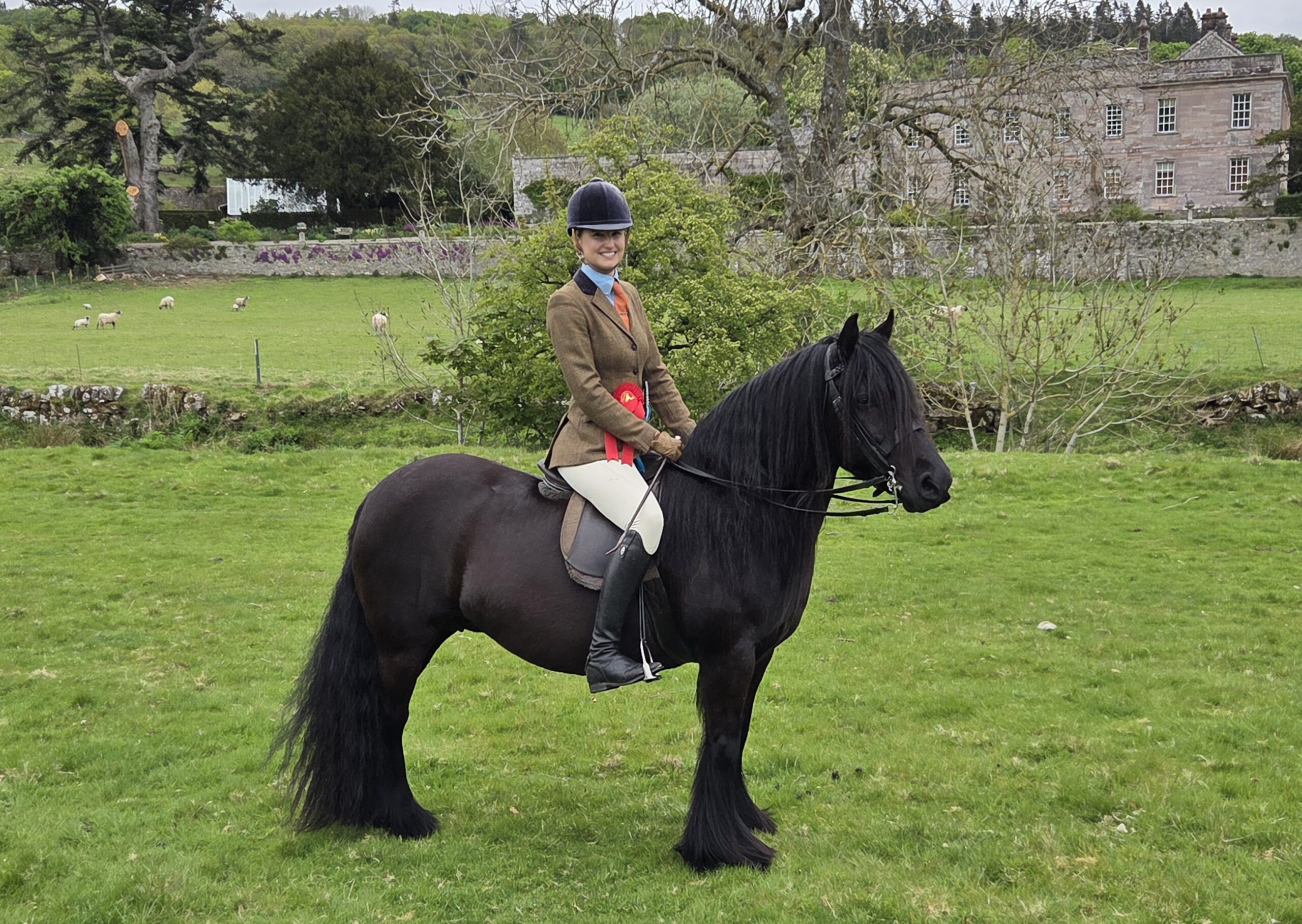 Anna Metcalfe et la jument poney Fell Greenholme Kipper réclament le billet HOYS au Stallion and Colt Show de la société de race.