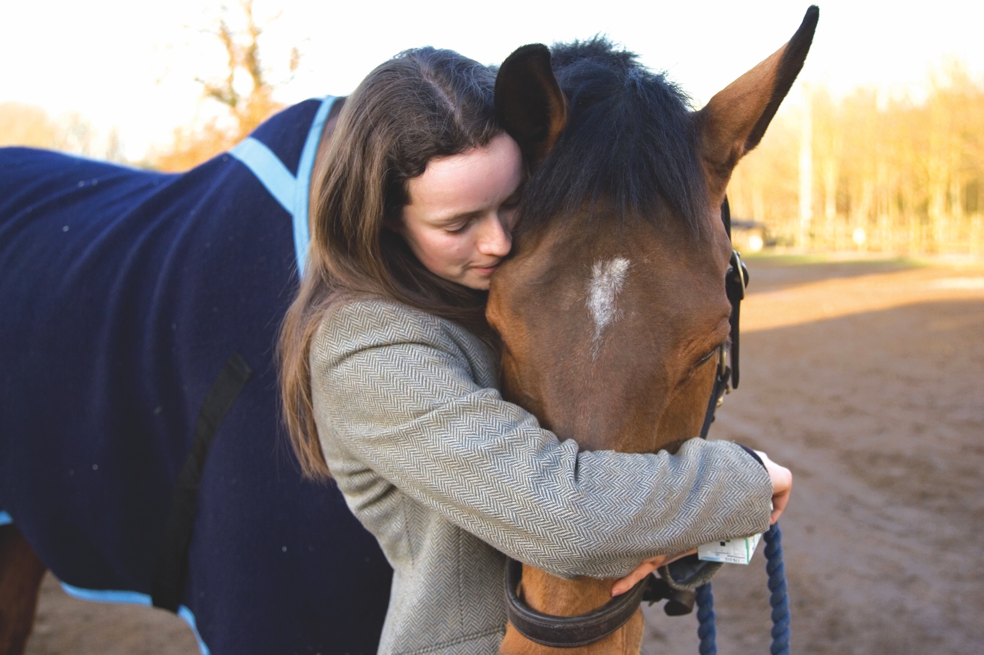 Comment la personnalité du cavalier affecte l’entraînement et la relation cheval-humain