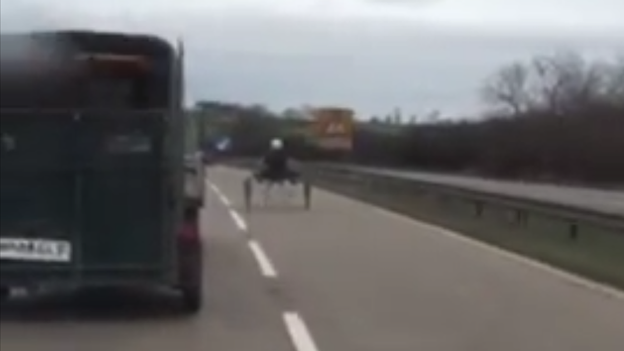 Interdiction des courses de poneys et de traps non réglementées sur route