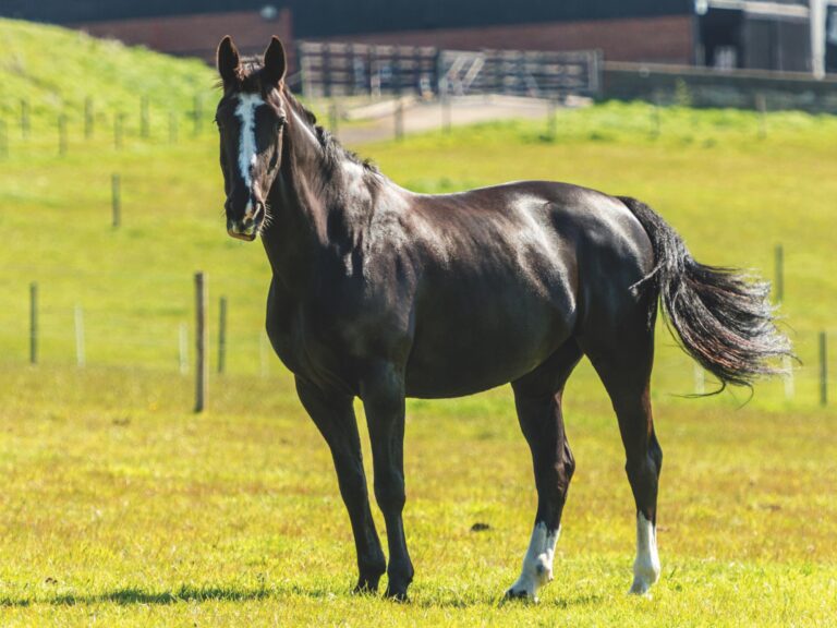 La liste de surveillance RBST 2026 contient des nouvelles préoccupantes pour Hackneys