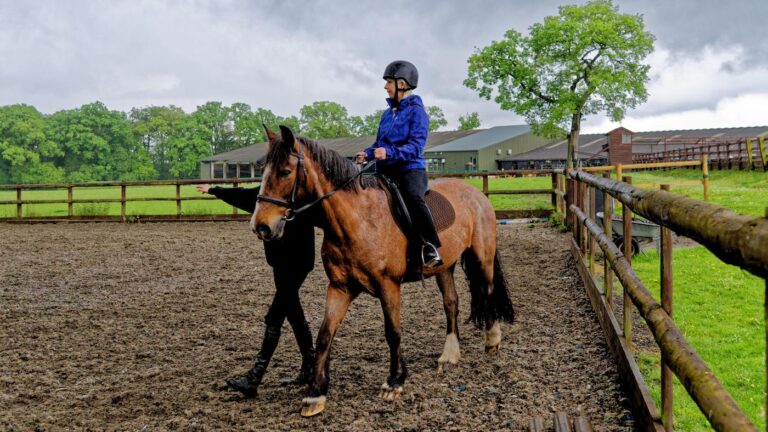 L&rsquo;initiative des Championnats du monde soutient les écoles d&rsquo;équitation