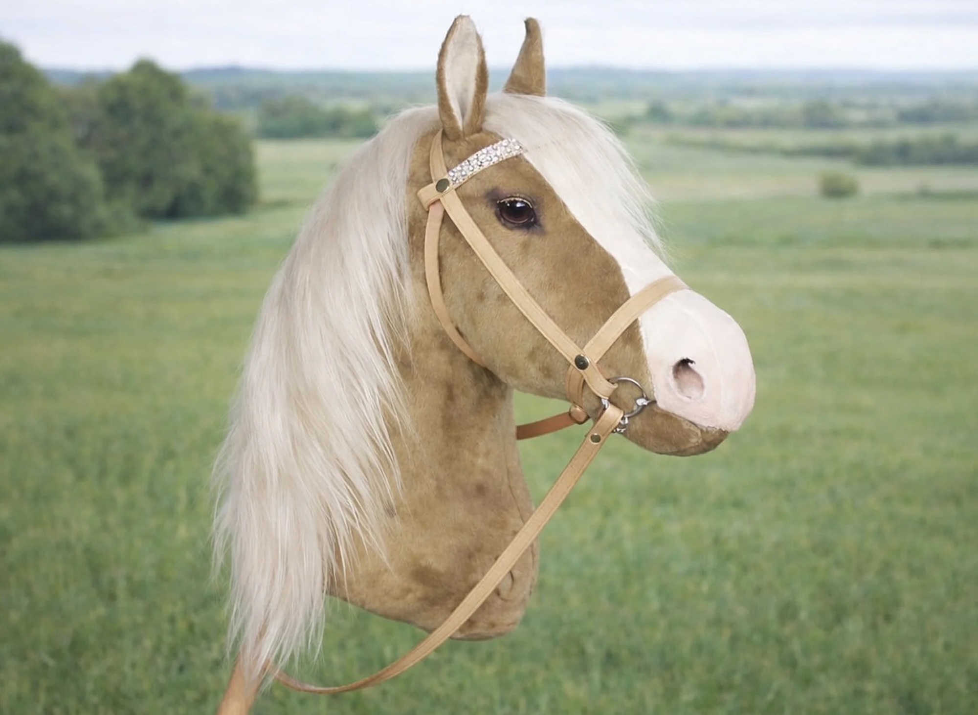 Exemple de cheval de bataille palomino