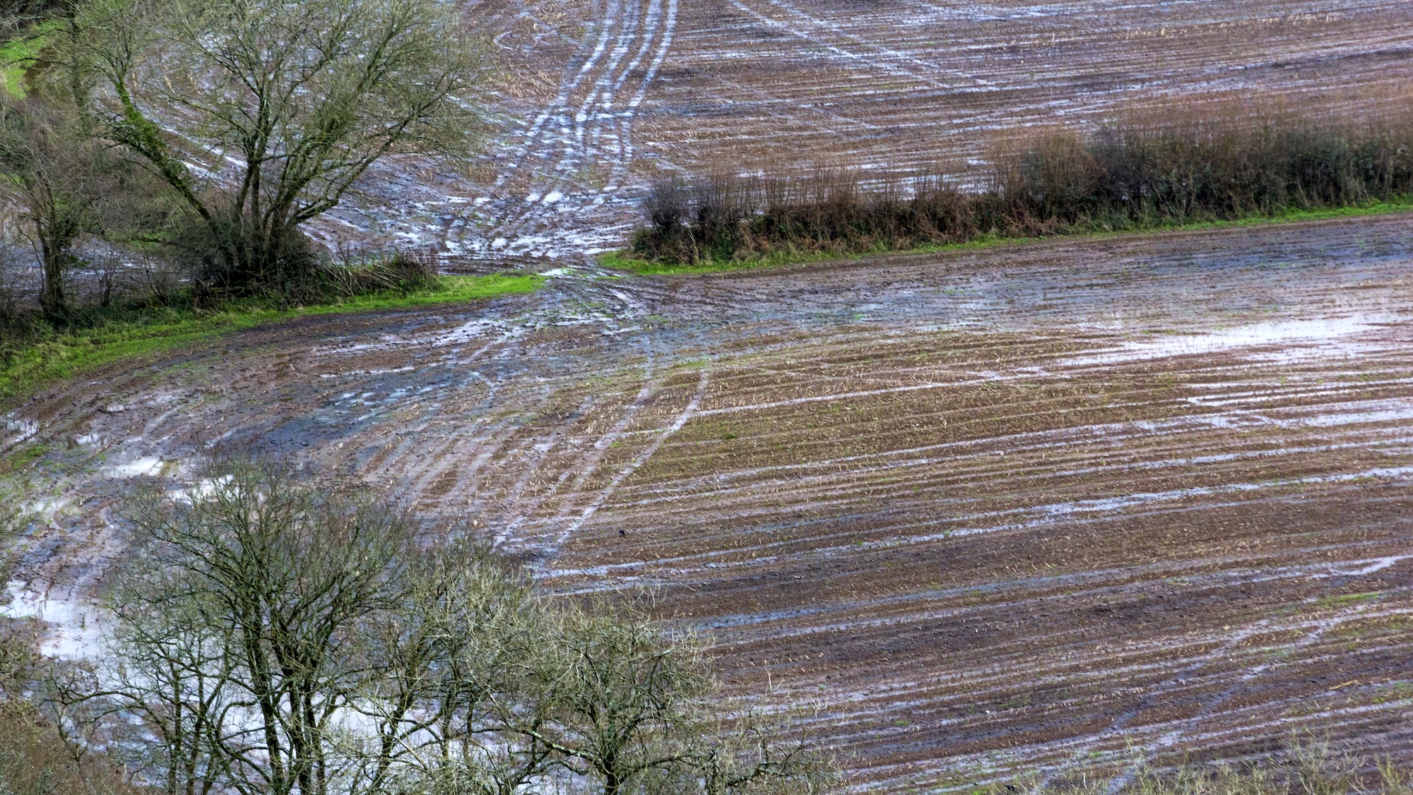 Champs boueux avec traces de pneus
