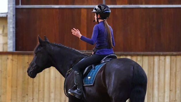 Beyond the Bridle montre la magie et comment chacun peut en faire partie