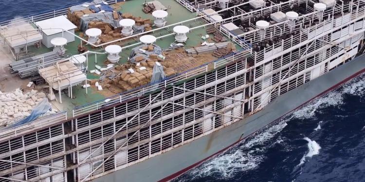 Des millions d'animaux transportés sur des navires extrêmement vieux et dangereux, selon un nouveau rapport