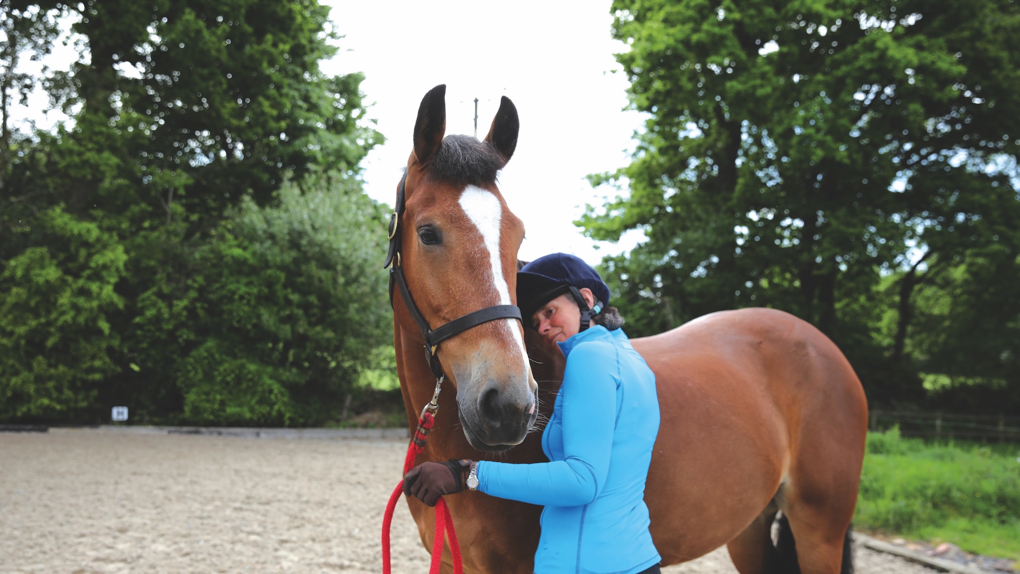 Enquête mondiale sur le bien-être du cheval 2026 sur les résultats de la perception
