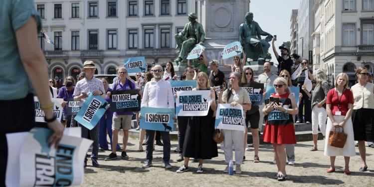 Votre voix est nécessaire : demandez aux députés de remédier enfin au transport des animaux vivants