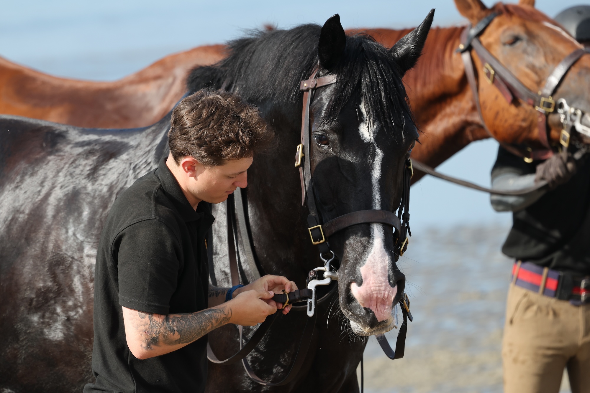 Sur la photo : des soldats et des chevaux du Household Cavalry Mounted Regiment à la plage de Hayling Island le vendredi 3 juillet 2026. Le Household Cavalry Mounted Regiment troque les rues de Londres pour les rives du Hampshire. Dans le cadre de leur camp d'été de trois semaines, les Life Guards et les Blues and Royals ont déployé leurs chevaux de travail militaires à Hayling Island Beach pour une journée d'entraînement équin différent. Après avoir accueilli quatre dirigeants mondiaux à Windsor, protégé le roi lors de l'ouverture officielle du Parlement et organisé un spectaculaire défilé pour l'anniversaire du roi, une journée à la mer semblait bien méritée. Ces chevaux sont confrontés chaque jour au bruit et au chaos de Londres – aux sirènes, à la foule et à tous les plaisirs inattendus de la vie urbaine. Il est donc essentiel de renforcer leur confiance en eux en les exposant à de nouveaux environnements. La plage – avec ses sables mouvants, ses vagues déferlantes, ses mouettes hurlantes et ses enfants surexcités – est le terrain d’essai idéal. Pour les plus jeunes chevaux, c'était leur toute première rencontre avec la mer. Regarder