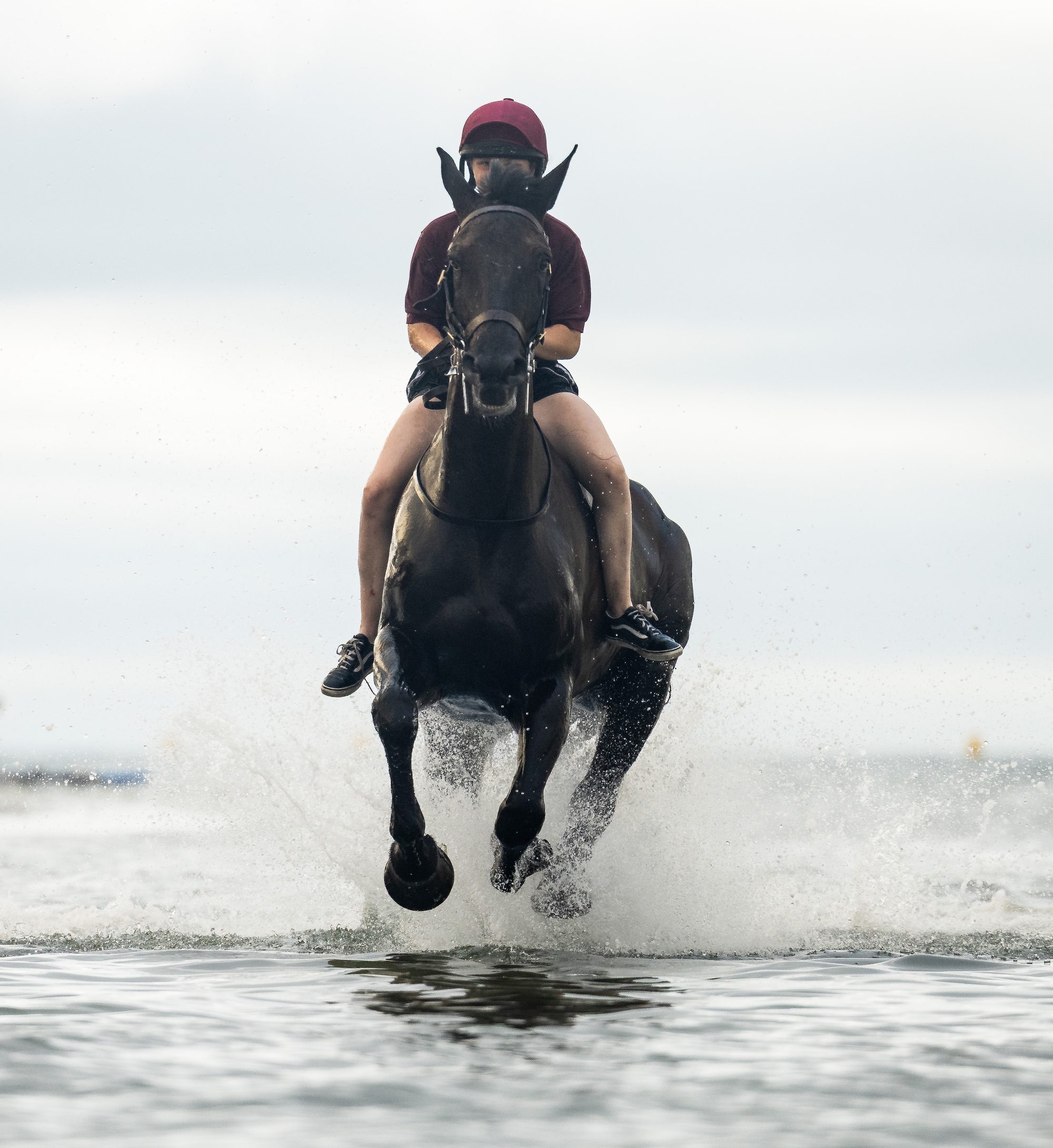 Sur la photo : des soldats et des chevaux du Household Cavalry Mounted Regiment à la plage de Hayling Island le vendredi 3 juillet 2026. Le Household Cavalry Mounted Regiment troque les rues de Londres pour les rives du Hampshire. Dans le cadre de leur camp d'été de trois semaines, les Life Guards et les Blues and Royals ont déployé leurs chevaux de travail militaires à Hayling Island Beach pour une journée d'entraînement équin différent. Après avoir accueilli quatre dirigeants mondiaux à Windsor, protégé le roi lors de l'ouverture officielle du Parlement et organisé un spectaculaire défilé pour l'anniversaire du roi, une journée à la mer semblait bien méritée. Ces chevaux sont confrontés chaque jour au bruit et au chaos de Londres – aux sirènes, à la foule et à tous les plaisirs inattendus de la vie urbaine. Il est donc essentiel de renforcer leur confiance en eux en les exposant à de nouveaux environnements. La plage – avec ses sables mouvants, ses vagues déferlantes, ses mouettes hurlantes et ses enfants surexcités – est le terrain d’essai idéal. Pour les plus jeunes chevaux, c'était leur toute première rencontre avec la mer. Regarder