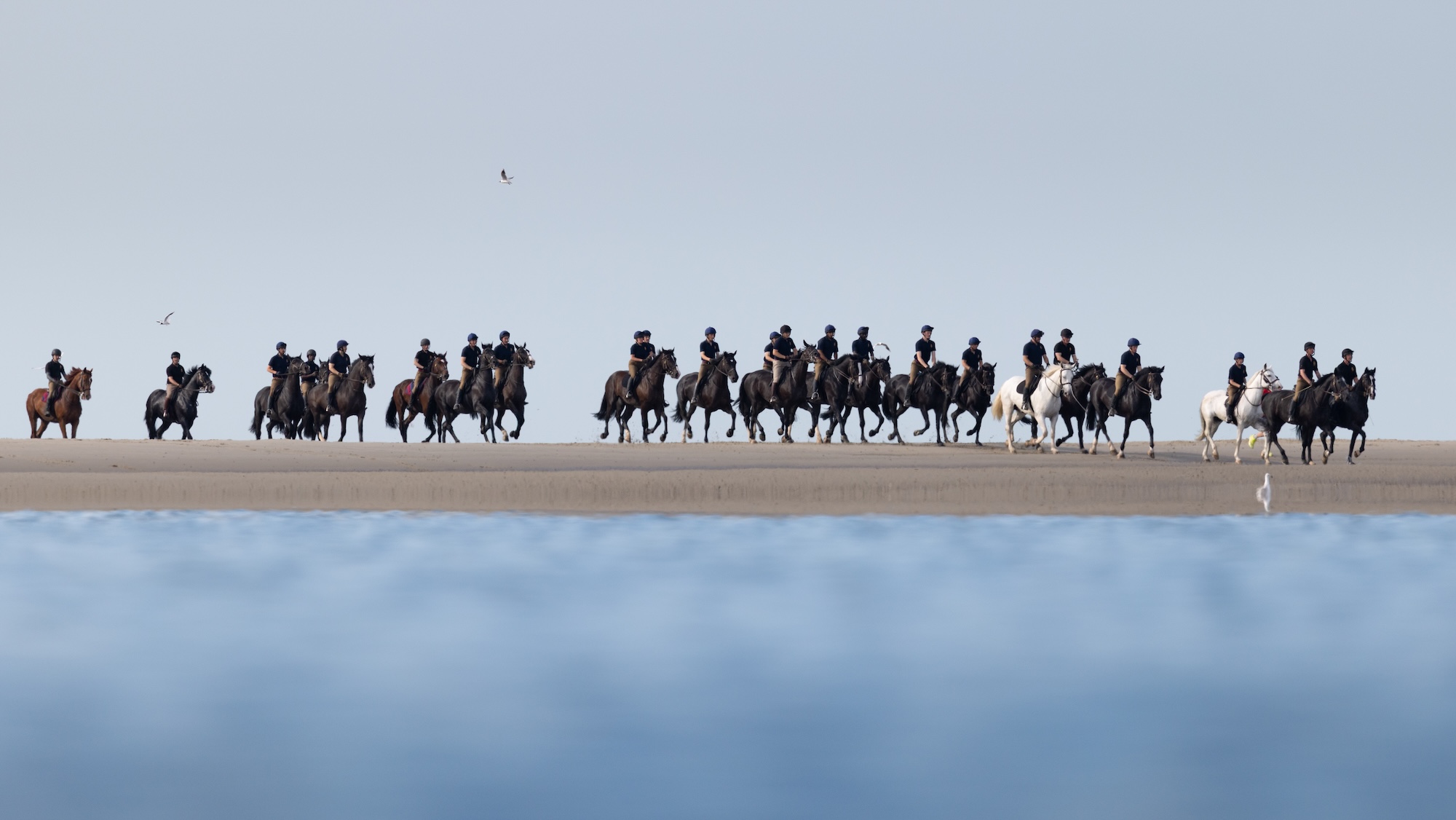 Sur la photo : des soldats et des chevaux du Household Cavalry Mounted Regiment à la plage de Hayling Island le vendredi 3 juillet 2026. Le Household Cavalry Mounted Regiment troque les rues de Londres pour les rives du Hampshire. Dans le cadre de leur camp d'été de trois semaines, les Life Guards et les Blues and Royals ont déployé leurs chevaux de travail militaires à Hayling Island Beach pour une journée d'entraînement équin différent. Après avoir accueilli quatre dirigeants mondiaux à Windsor, protégé le roi lors de l'ouverture officielle du Parlement et organisé un spectaculaire défilé pour l'anniversaire du roi, une journée à la mer semblait bien méritée. Ces chevaux sont confrontés chaque jour au bruit et au chaos de Londres – aux sirènes, à la foule et à tous les plaisirs inattendus de la vie urbaine. Il est donc essentiel de renforcer leur confiance en eux en les exposant à de nouveaux environnements. La plage – avec ses sables mouvants, ses vagues déferlantes, ses mouettes hurlantes et ses enfants surexcités – est le terrain d’essai idéal. Pour les plus jeunes chevaux, c'était leur toute première rencontre avec la mer. Regarder