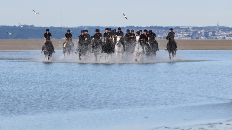 La Household Cavalry se rafraîchit après un début d&rsquo;été chargé