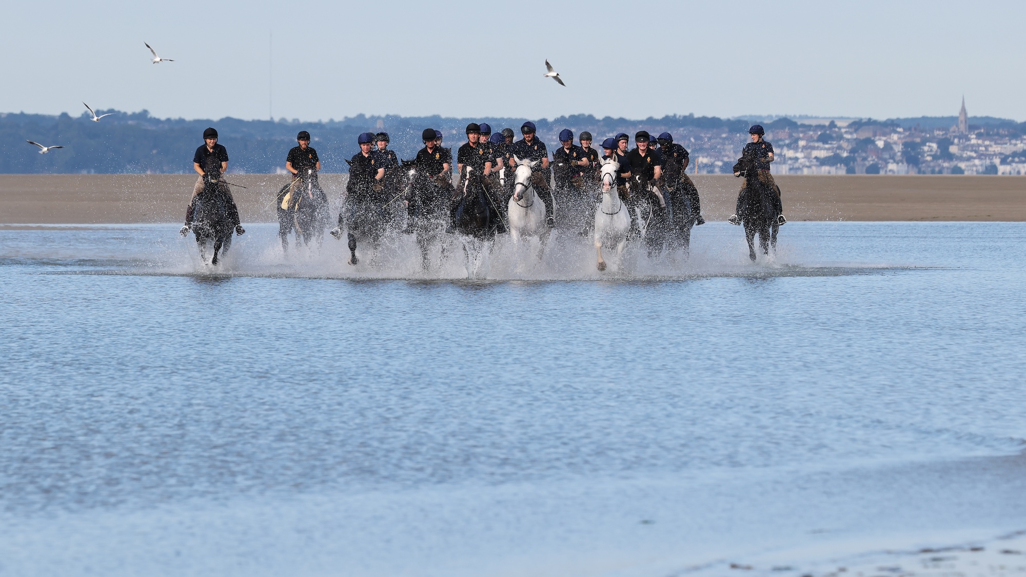 La Household Cavalry se rafraîchit après un début d'été chargé