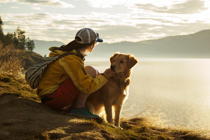 Golden Retriever with a woman hiking in a mountainous landscape.