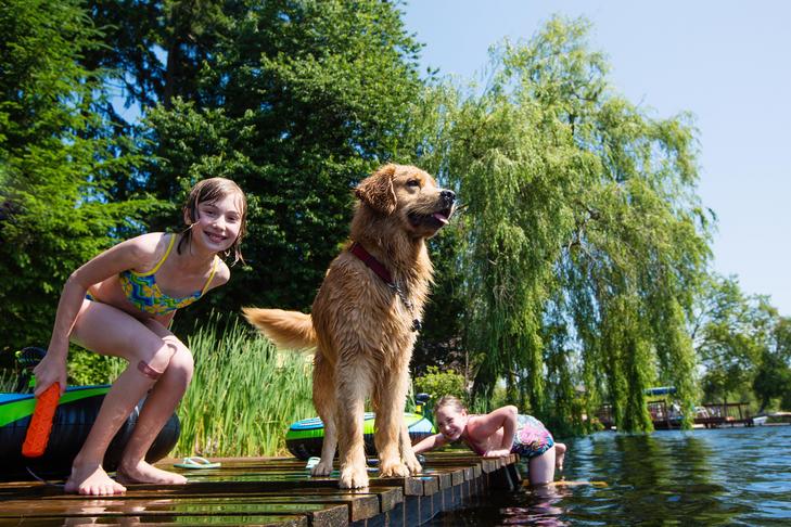 Est-il difficile d'élever un chiot ? Une famille sur trois trouve cela plus difficile que prévu
