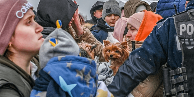 Les animaux ont besoin d'une place dans les plans de protection civile européens
